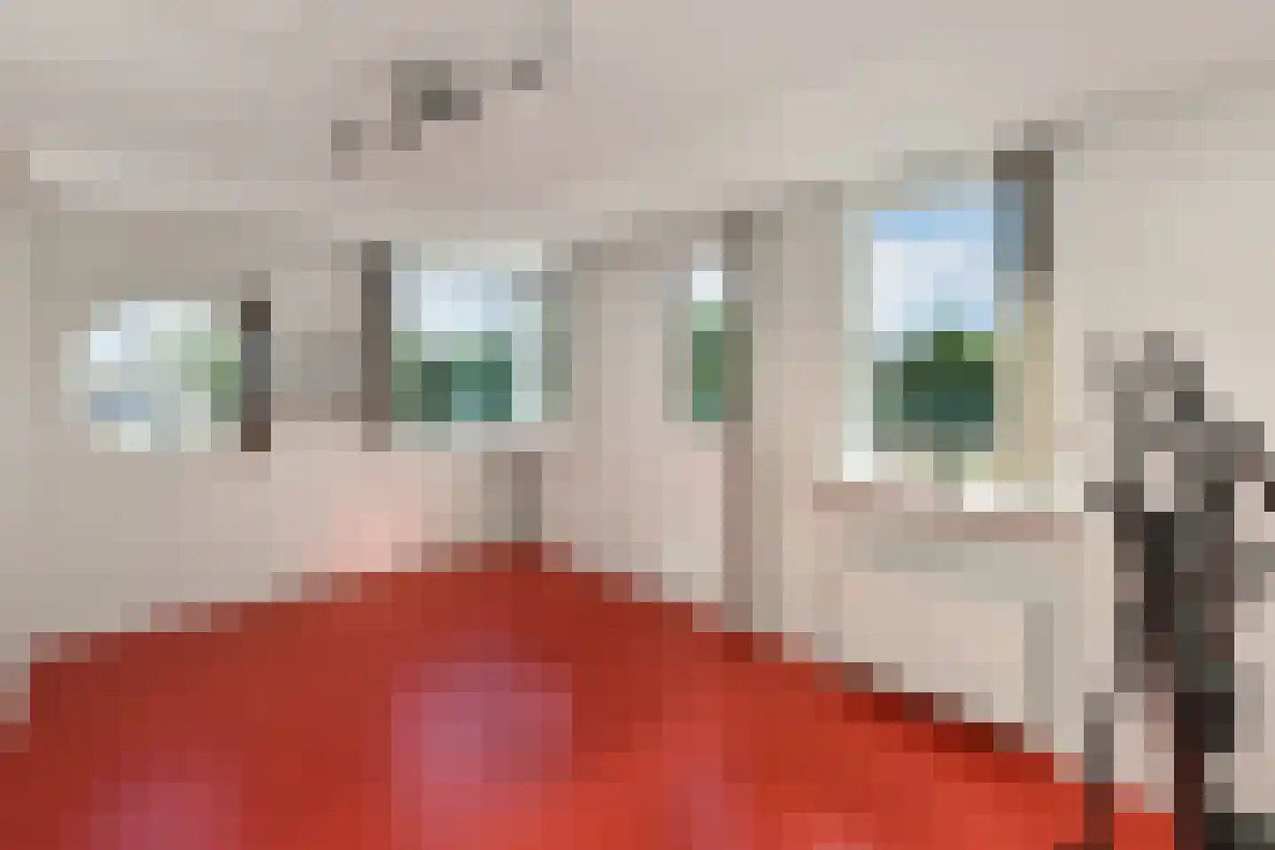 Jasappel 30 Elst thumbnail 37