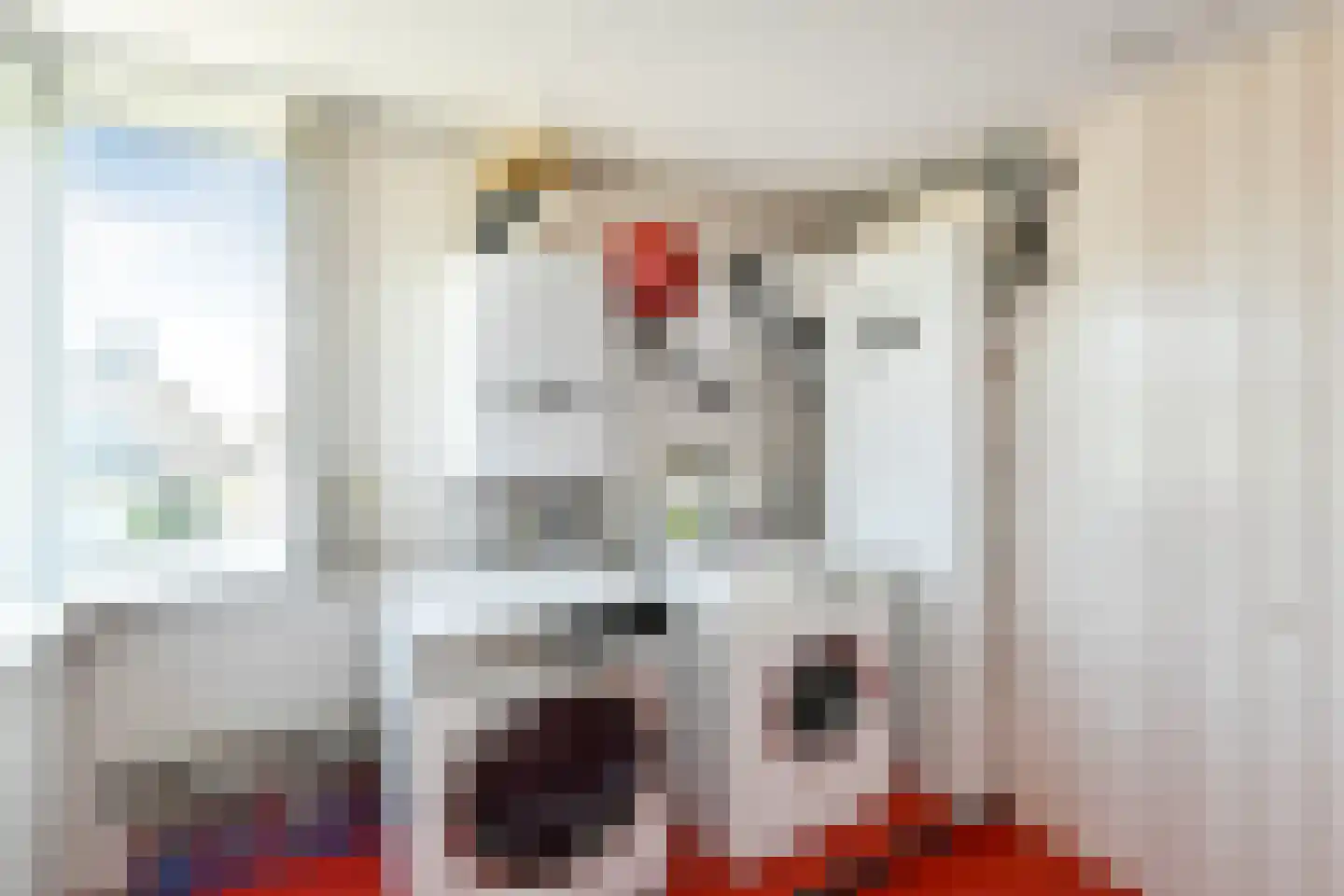 Jasappel 30 Elst thumbnail 41