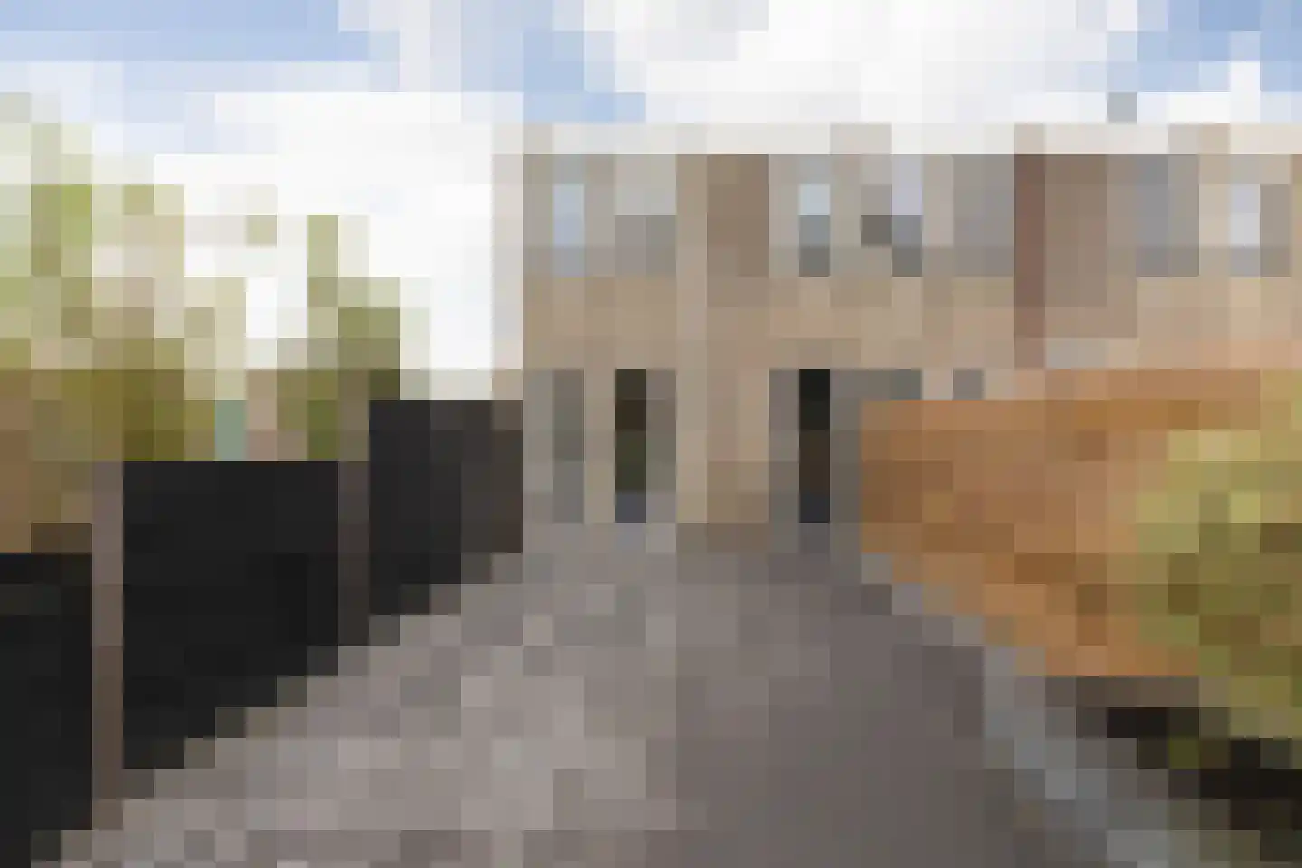 Jasker 125 Sneek thumbnail 28