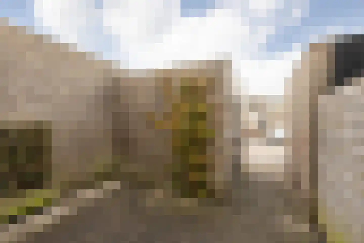 Jasker 125 Sneek thumbnail 36