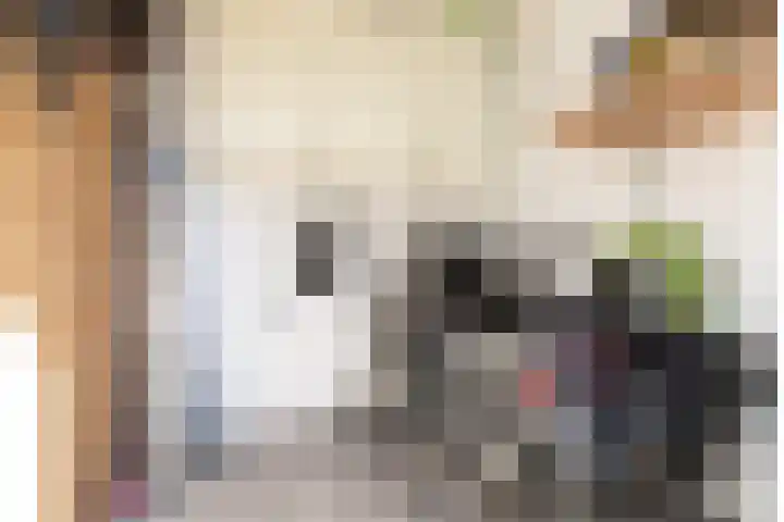 Jasker 22 Sneek thumbnail 45
