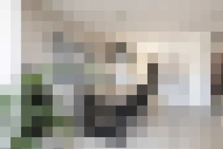 Jasker 22 Sneek thumbnail 8