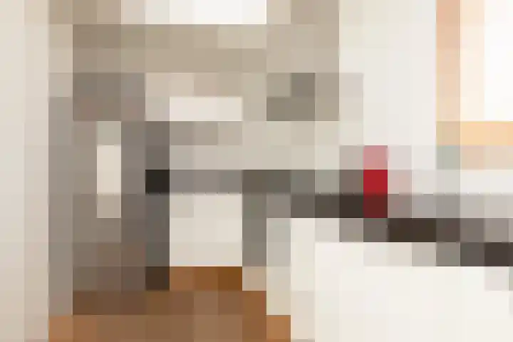 Jasker 26 Sneek thumbnail 10