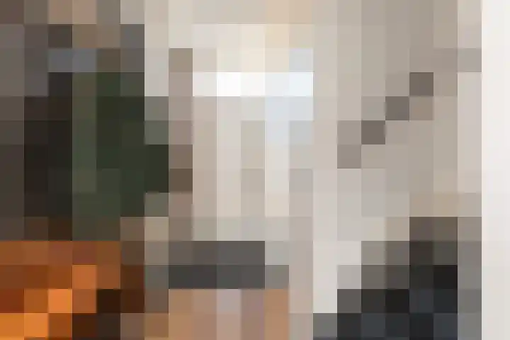 Jasker 26 Sneek thumbnail 11