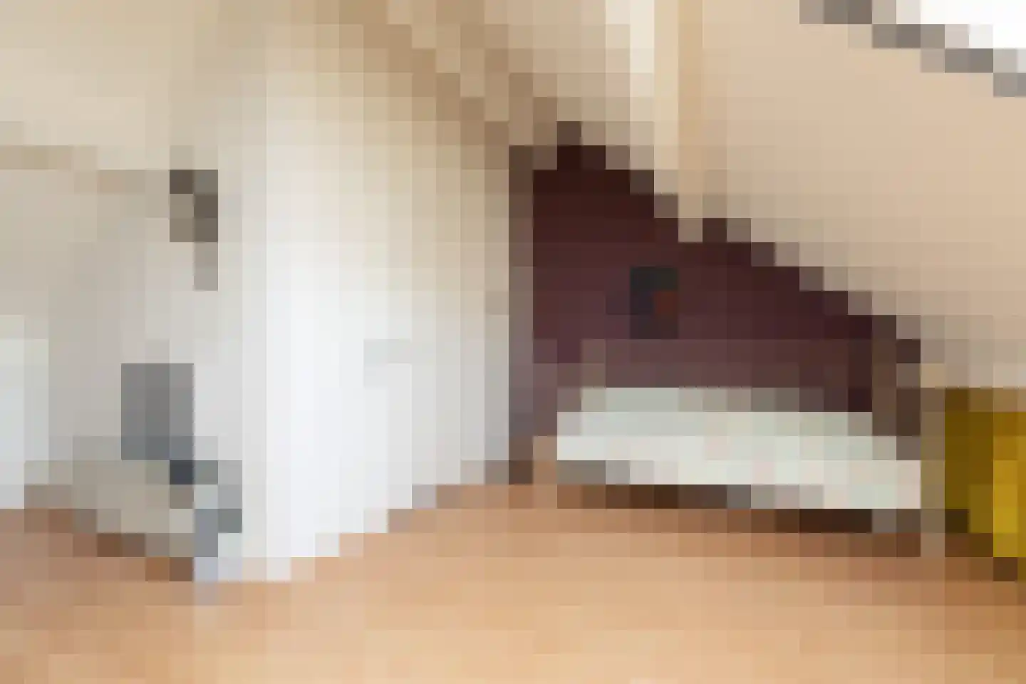 Jasker 26 Sneek thumbnail 24
