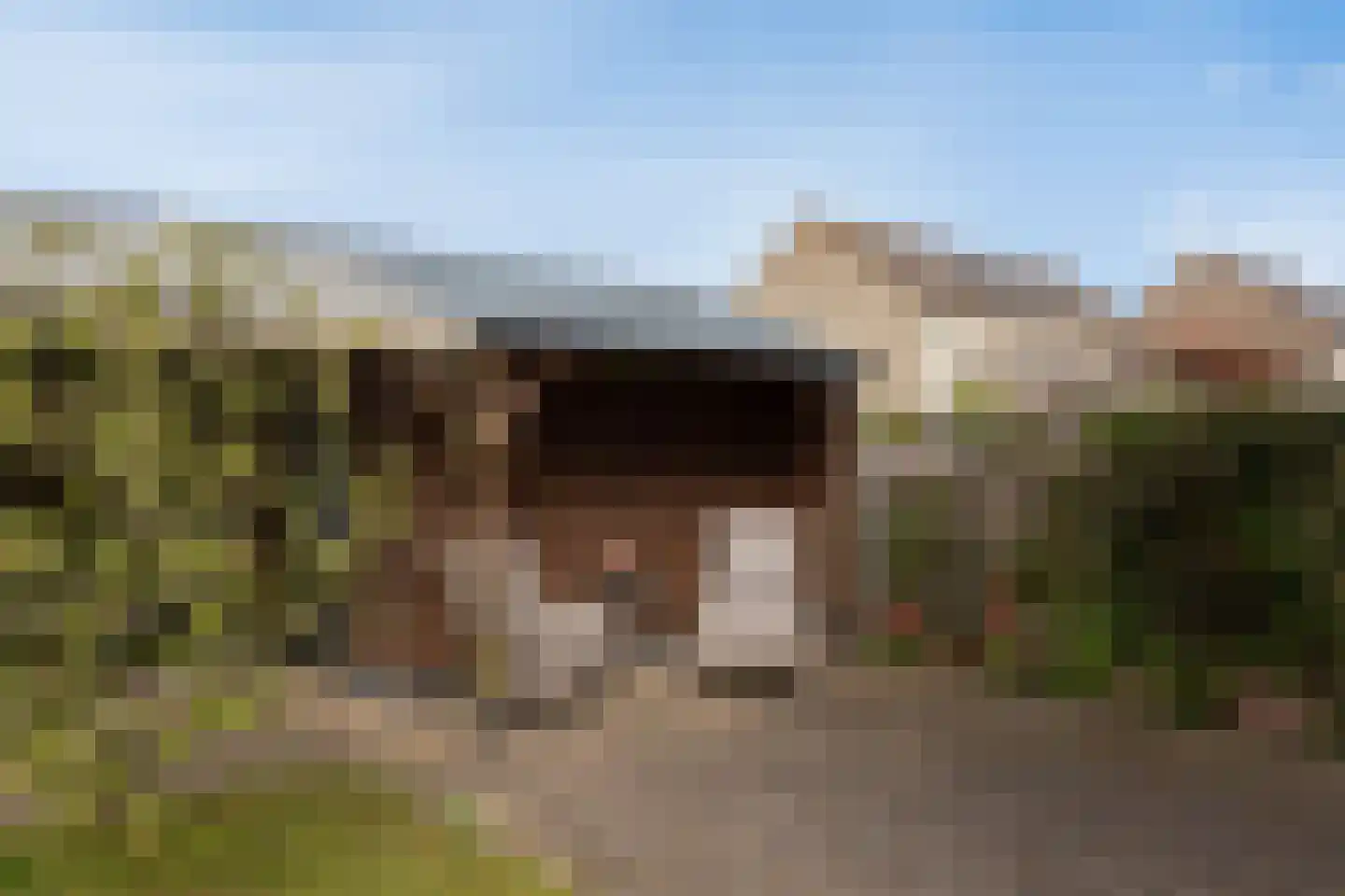 Jasker 26 Sneek thumbnail 27