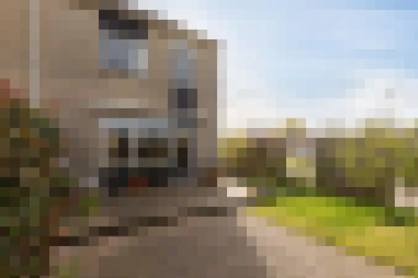 Jasker 26 Sneek thumbnail 28