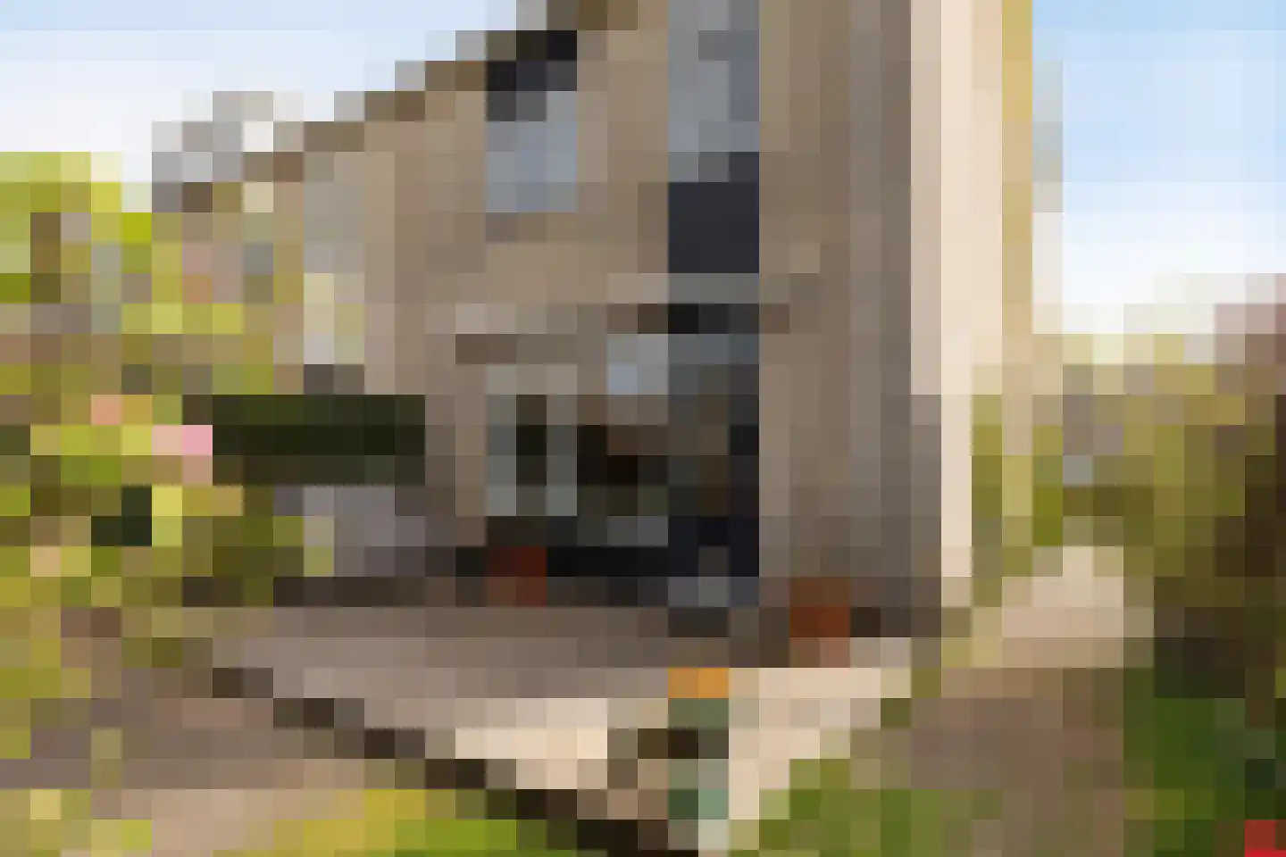 Jasker 26 Sneek thumbnail 29