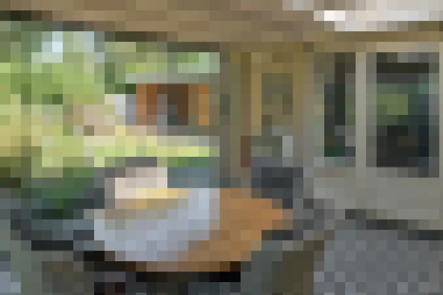 Jasker 3 Oudehaske thumbnail 17
