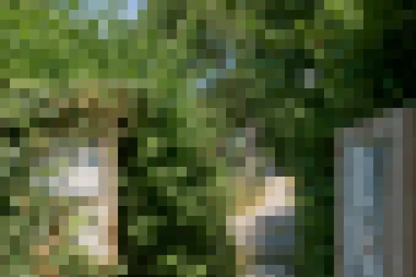 Jasker 3 Oudehaske thumbnail 18