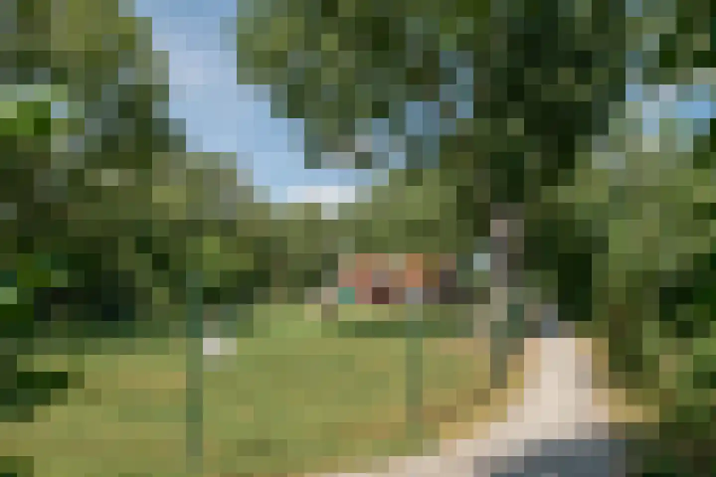 Jasker 3 Oudehaske thumbnail 19