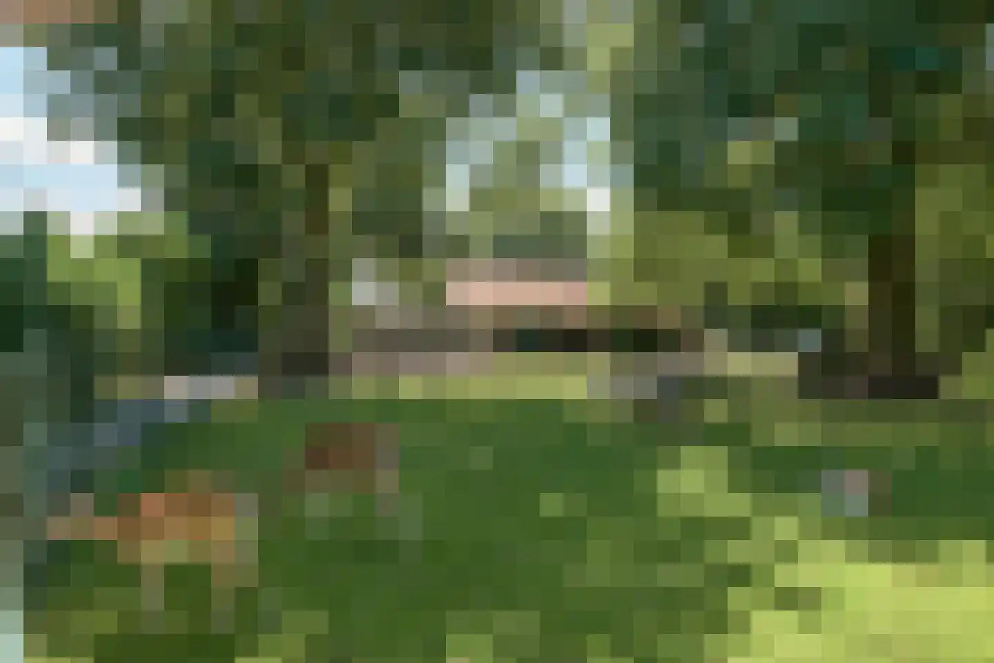 Jasker 3 Oudehaske thumbnail 20