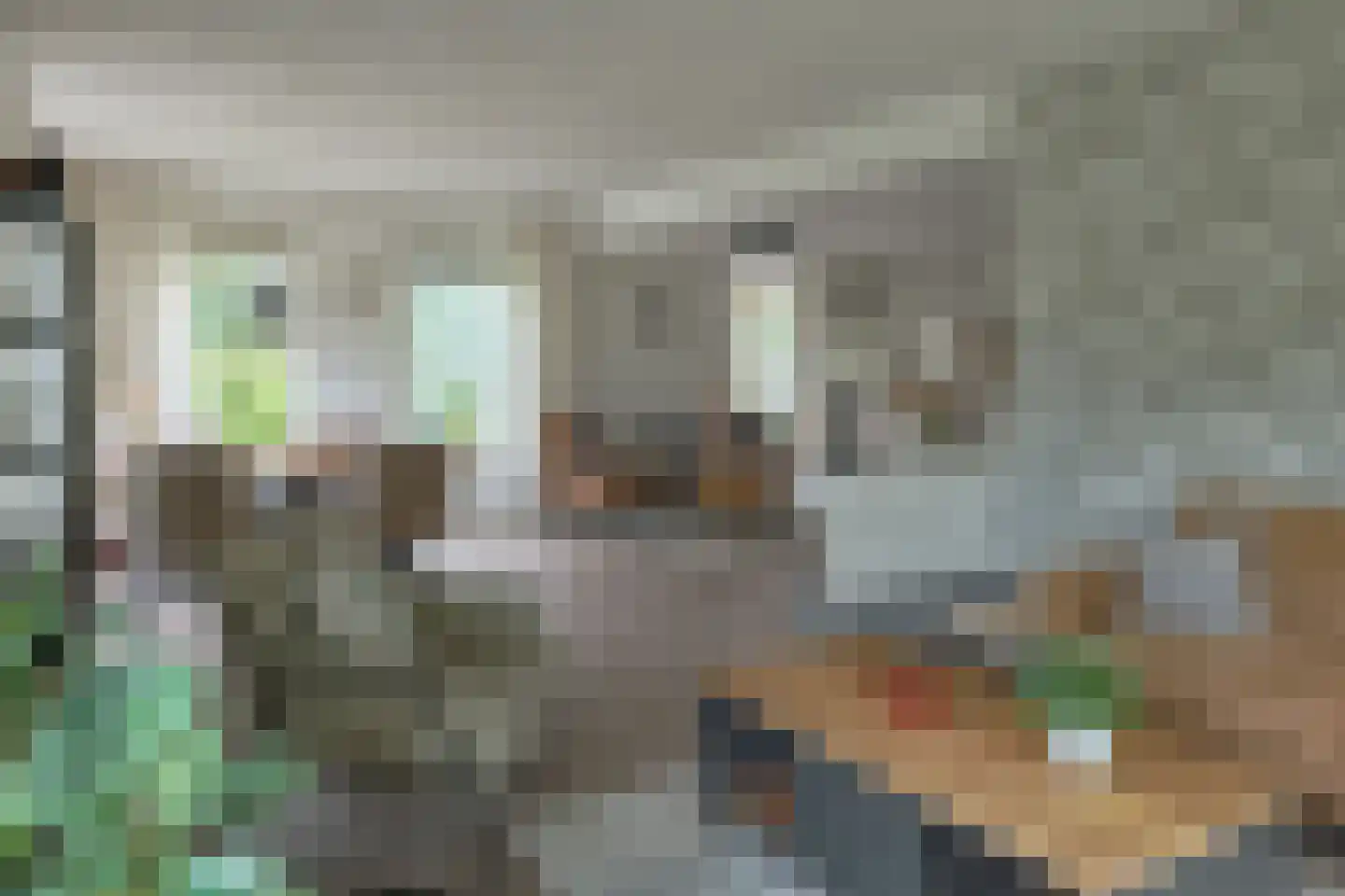 Jasker 3 Oudehaske thumbnail 28
