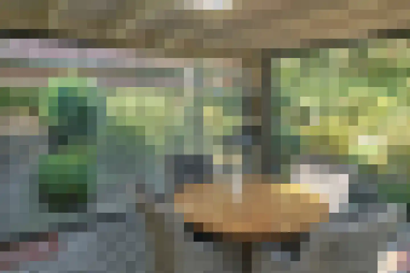 Jasker 3 Oudehaske thumbnail 30
