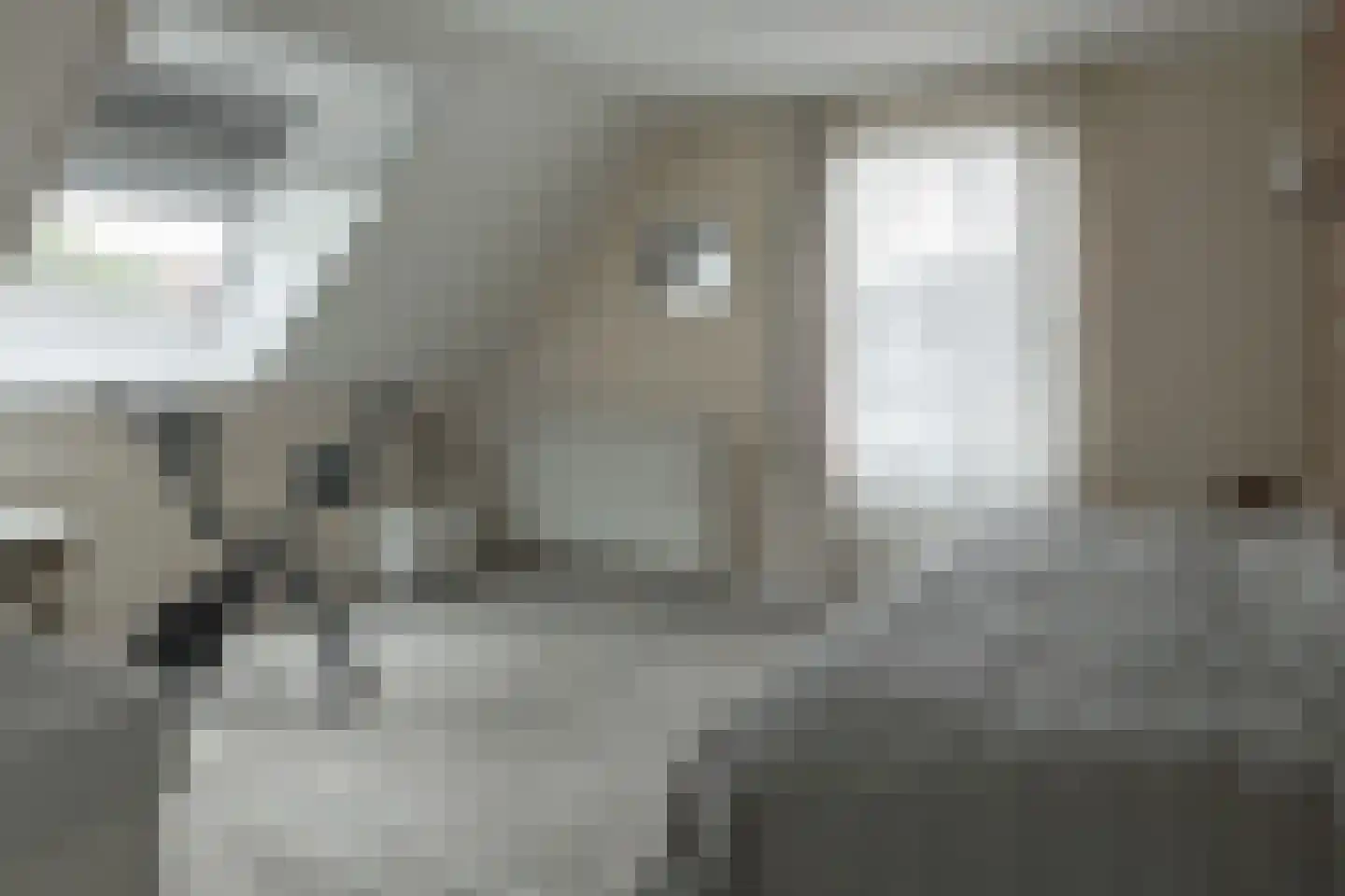 Jasker 3 Oudehaske thumbnail 45