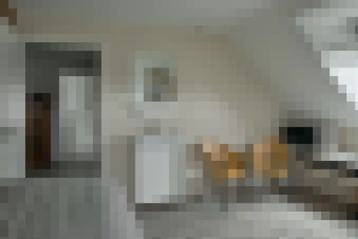 Jasker 3 Oudehaske thumbnail 46