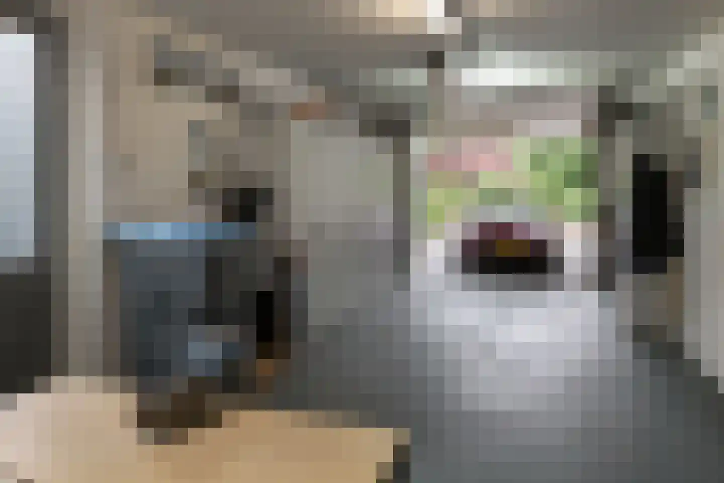 Jasker 3 Oudehaske thumbnail 47