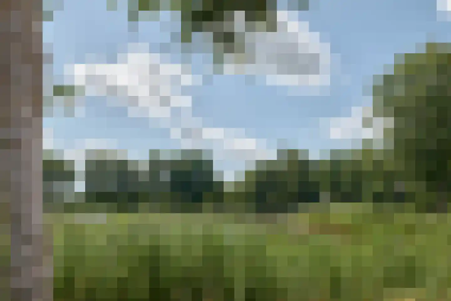Jasker 3 Oudehaske thumbnail 9