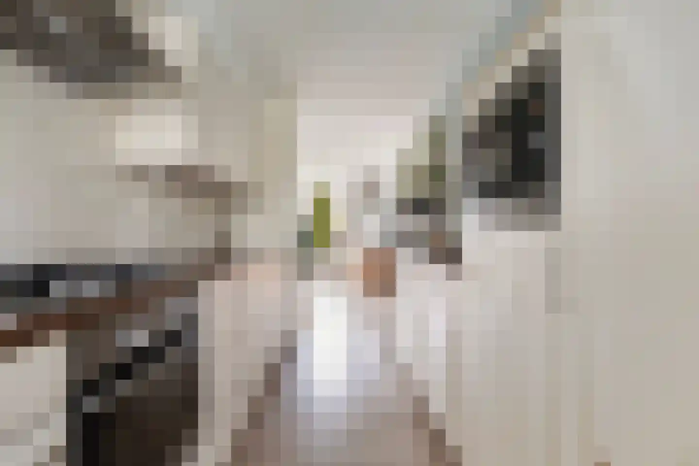 Jasker 87 Sneek thumbnail 13