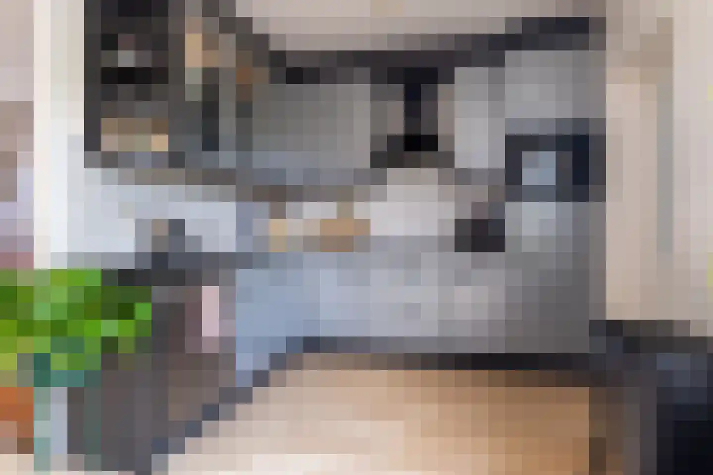 Jasmijn 10 Dokkum thumbnail 16