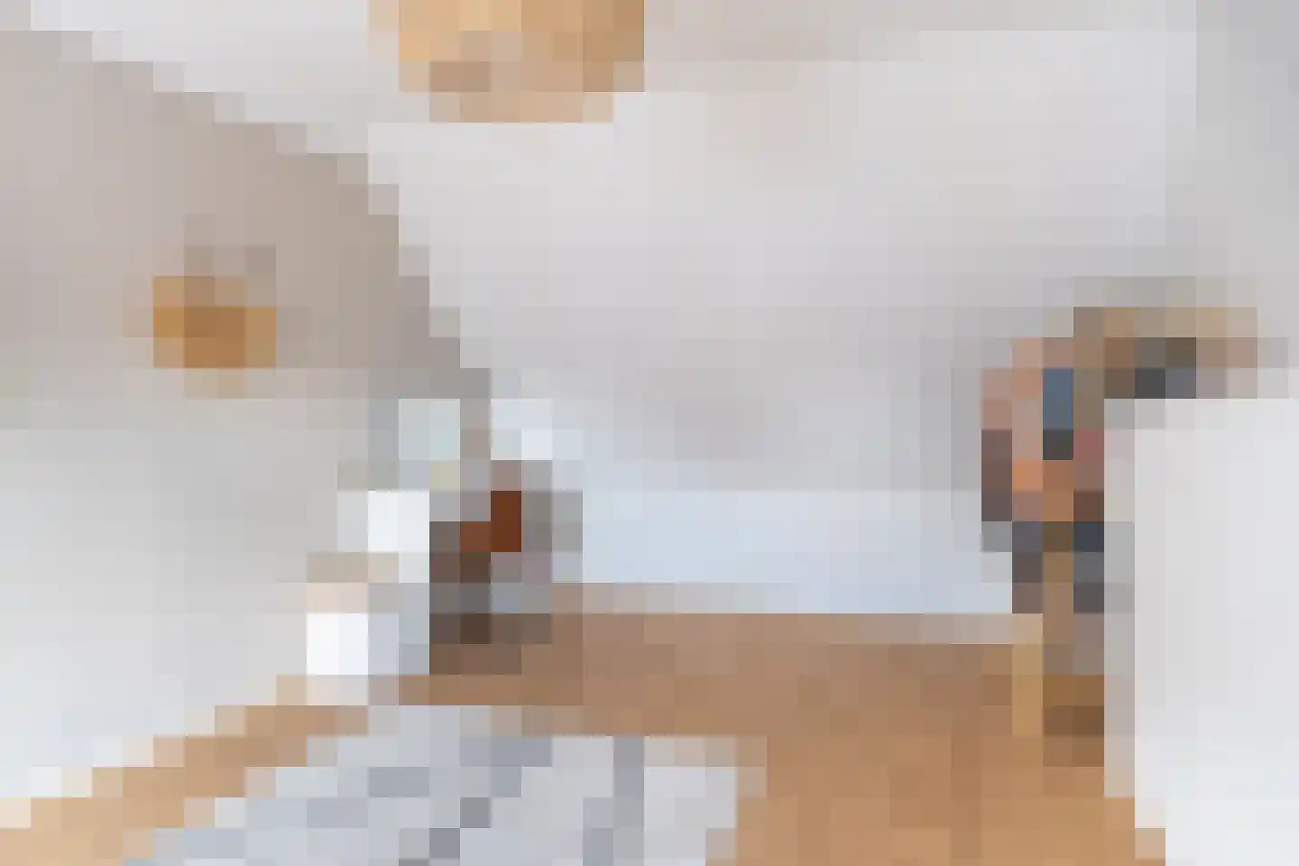 Jasmijn 10 Dokkum thumbnail 32
