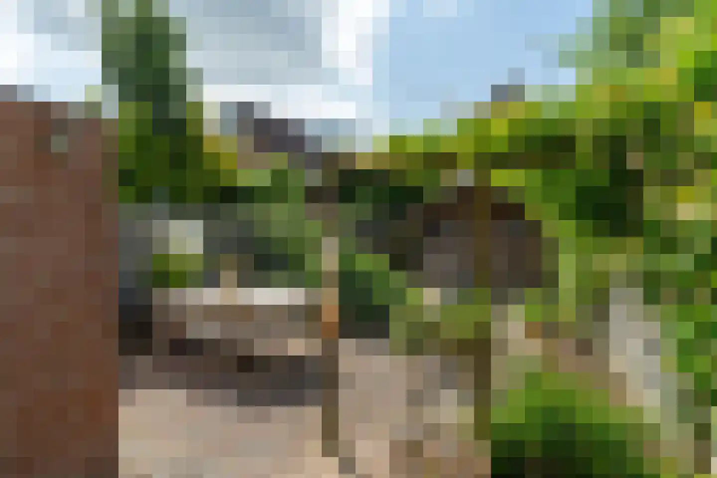 Jasmijn 10 Dokkum thumbnail 33
