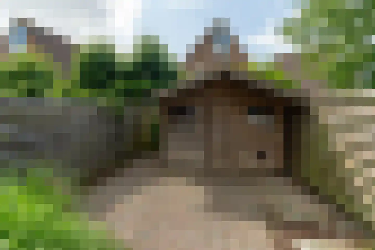 Jasmijn 10 Dokkum thumbnail 36