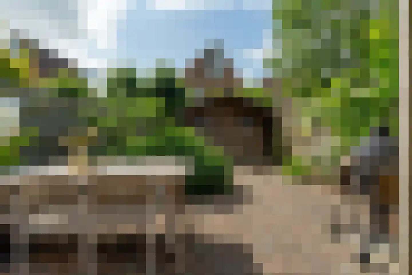 Jasmijn 10 Dokkum thumbnail 4