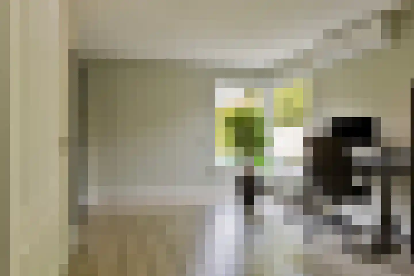 Jasmijn 10 Geffen thumbnail 12
