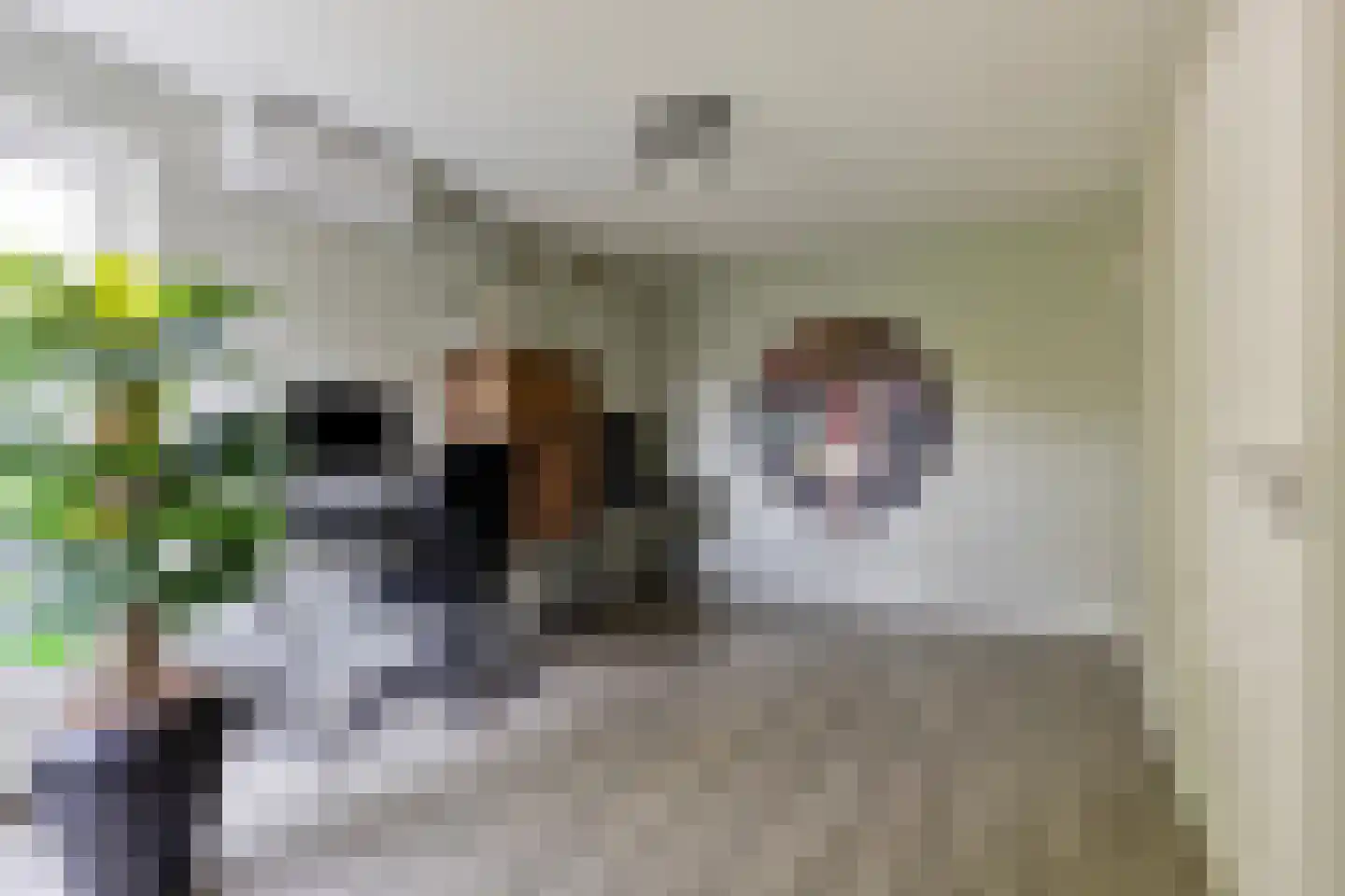 Jasmijn 10 Geffen thumbnail 13