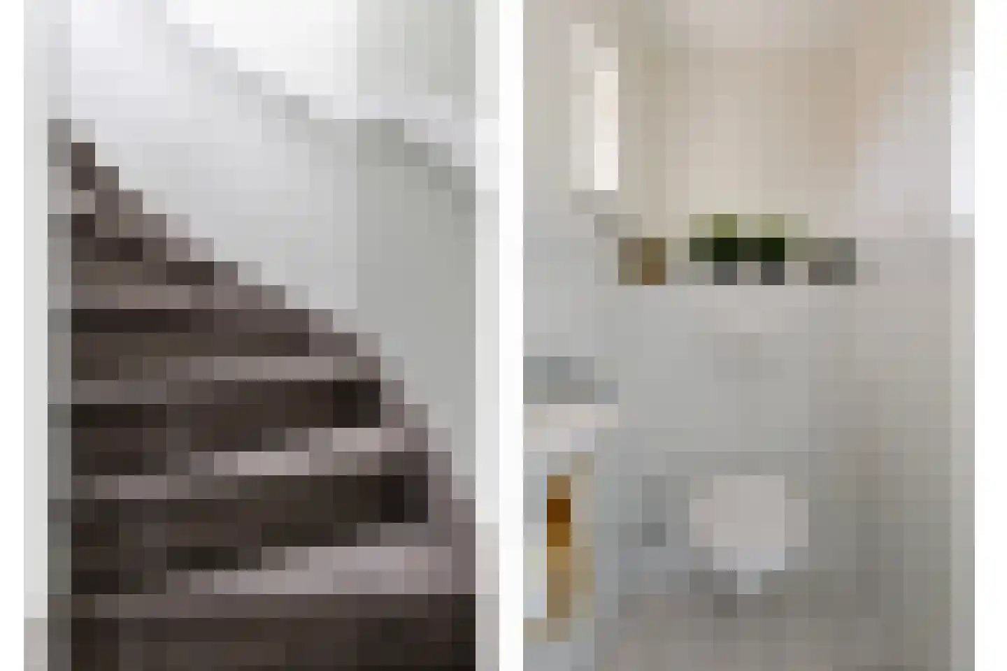 Jasmijn 10 Geffen thumbnail 18