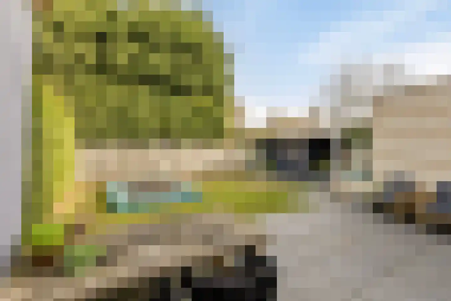 Jasmijn 10 Geffen thumbnail 30