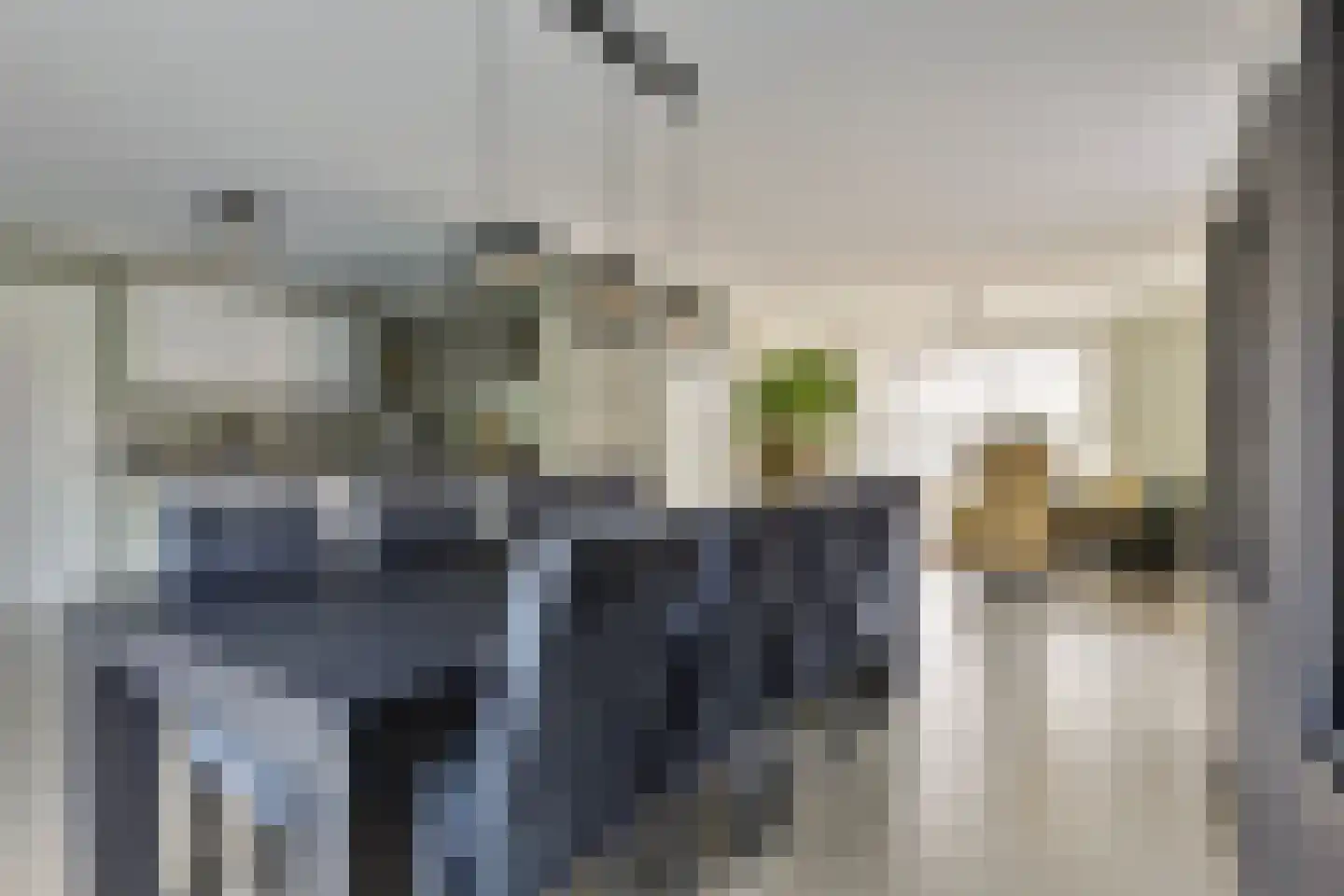 Jasmijn 10 Geffen thumbnail 8