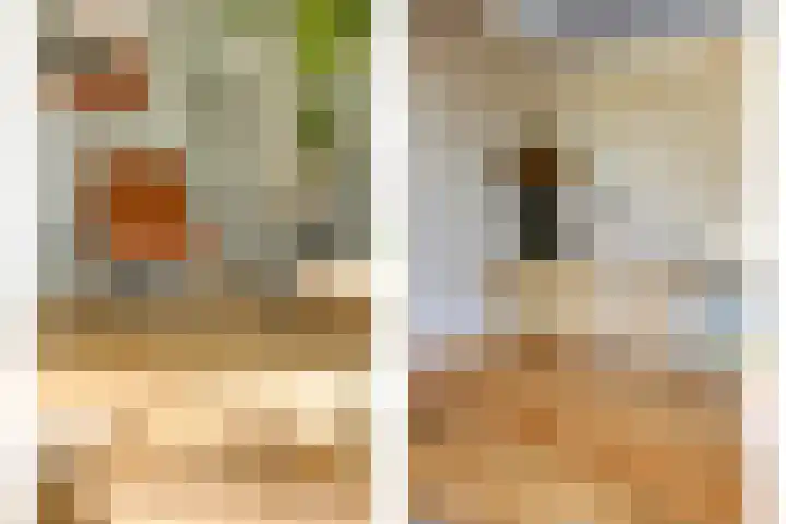Jasmijn 14 Coevorden thumbnail 10