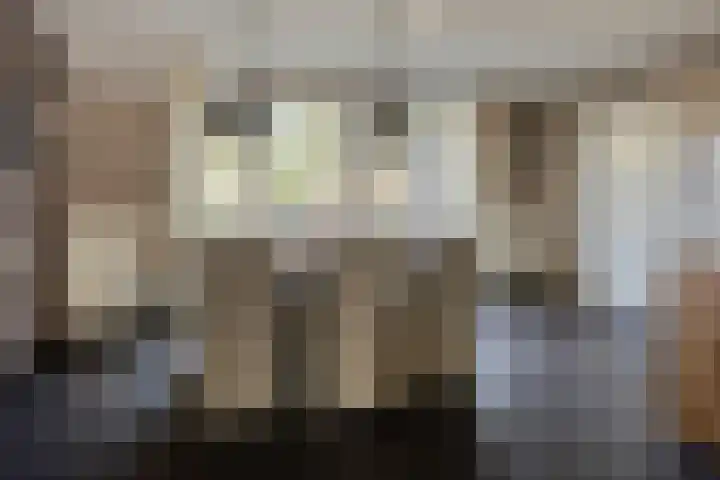 Jasmijn 14 Coevorden thumbnail 12