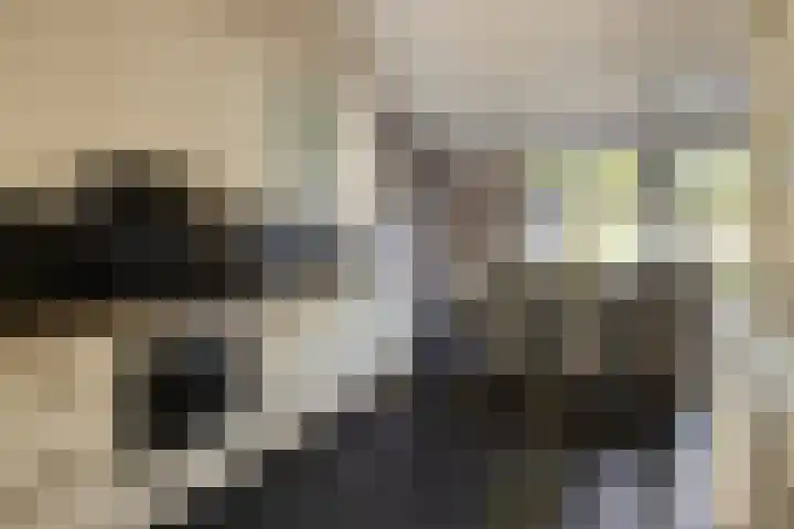 Jasmijn 14 Coevorden thumbnail 13