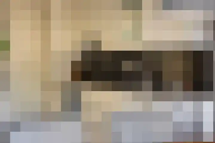 Jasmijn 14 Coevorden thumbnail 14