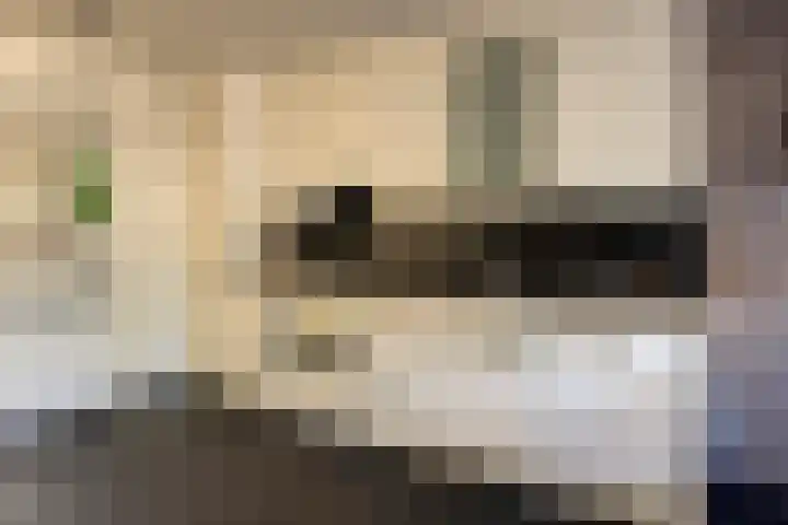 Jasmijn 14 Coevorden thumbnail 15