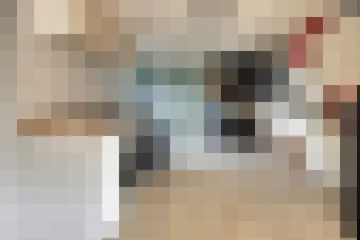Jasmijn 14 Coevorden thumbnail 17