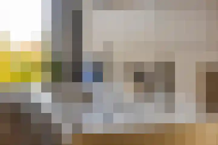 Jasmijn 14 Coevorden thumbnail 20