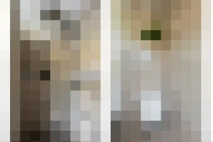 Jasmijn 14 Coevorden thumbnail 21