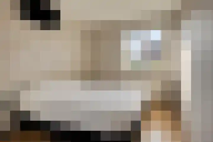 Jasmijn 14 Coevorden thumbnail 23