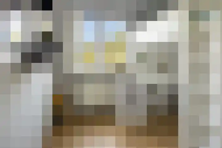 Jasmijn 14 Coevorden thumbnail 26