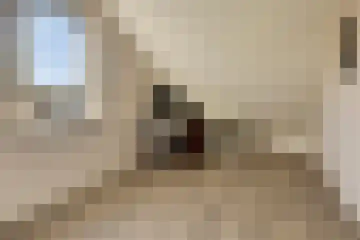 Jasmijn 14 Coevorden thumbnail 28