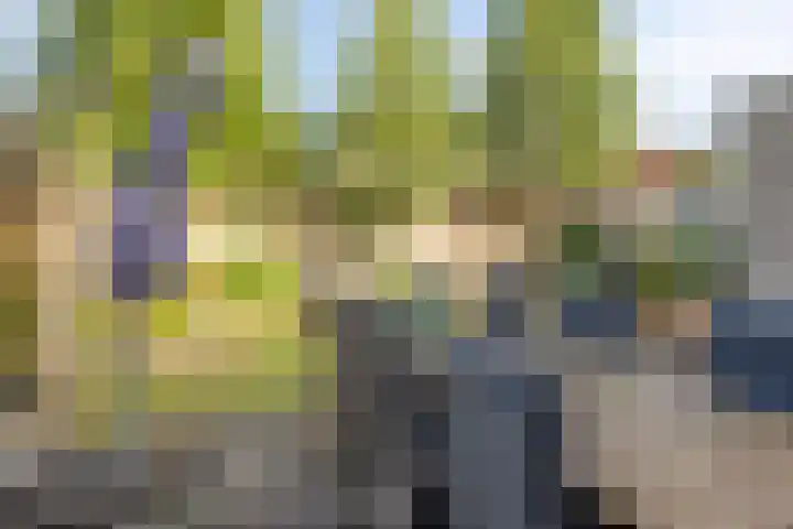 Jasmijn 14 Coevorden thumbnail 31