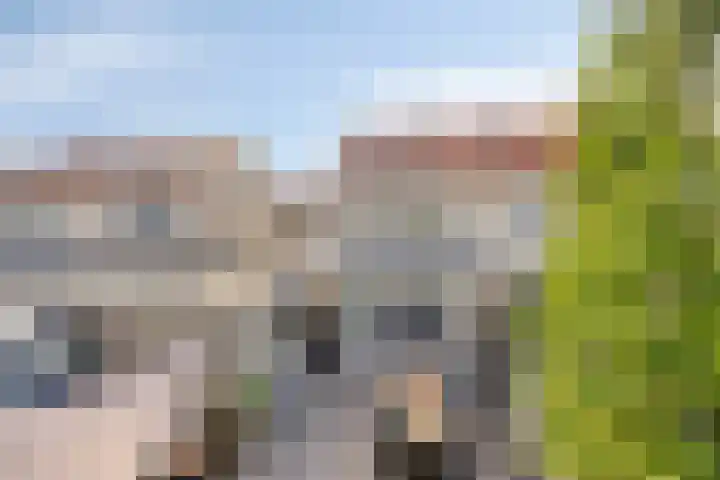 Jasmijn 14 Coevorden thumbnail 32