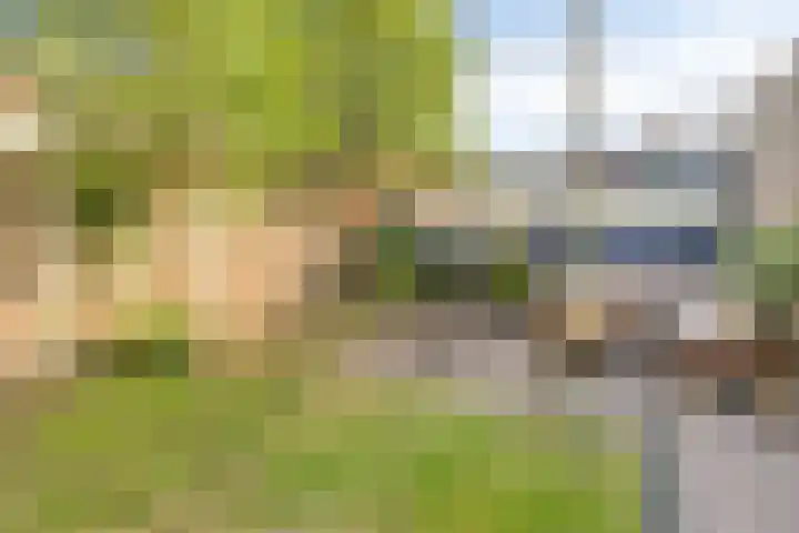 Jasmijn 14 Coevorden thumbnail 33