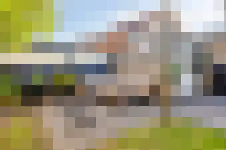 Jasmijn 14 Coevorden thumbnail 34