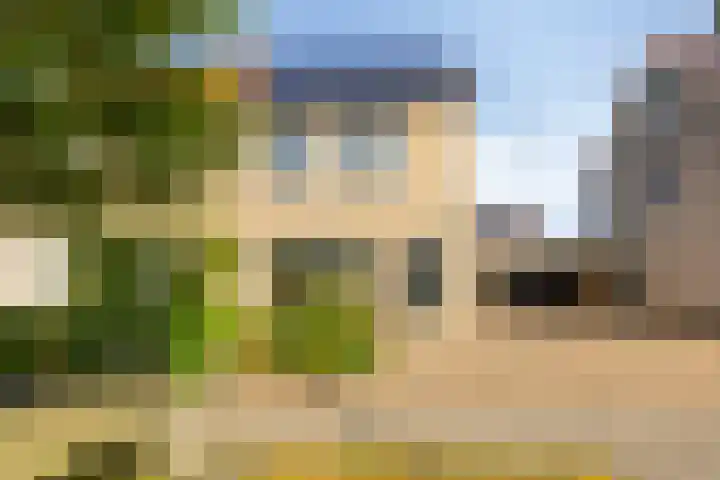 Jasmijn 14 Coevorden thumbnail 35