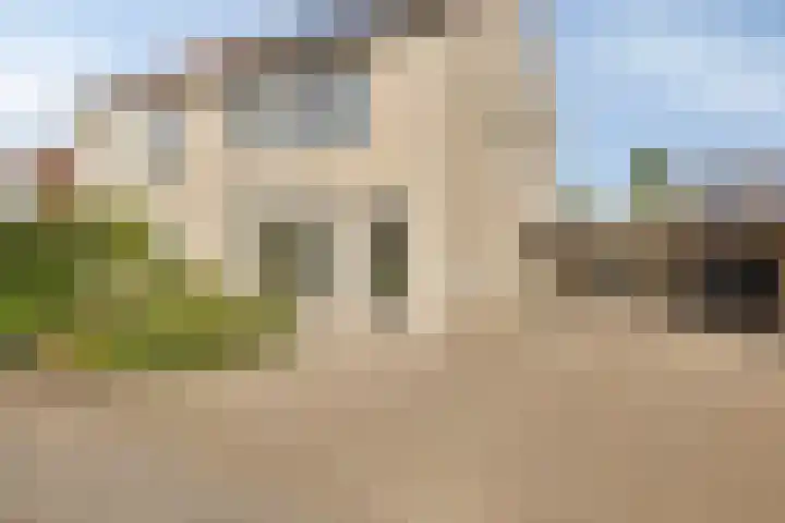 Jasmijn 14 Coevorden thumbnail 36